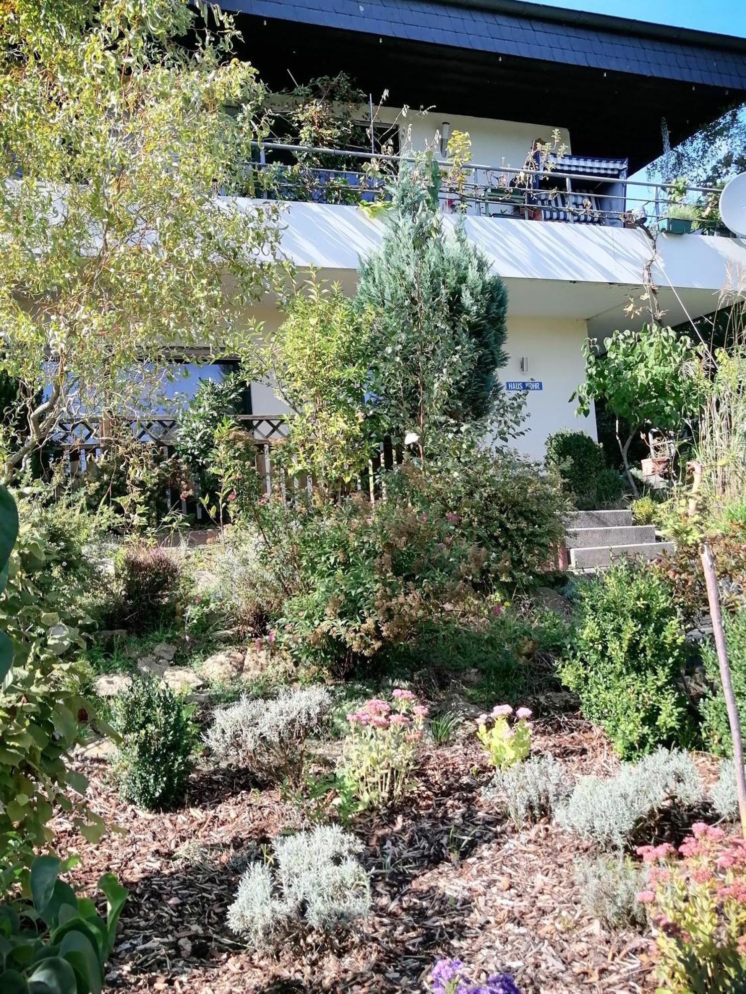 Haus Mohr - Ferienwohnung Im Taunus Weilmunster Eksteriør bilde